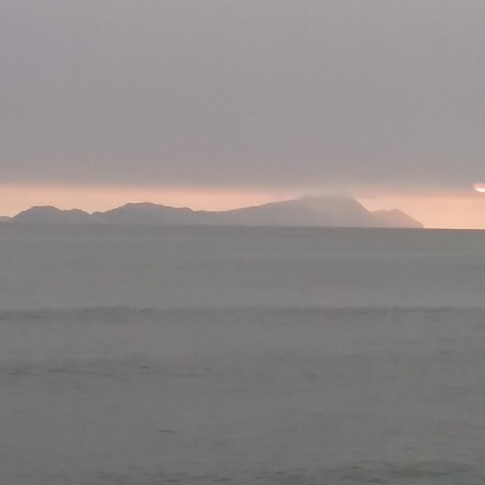 Meet your Posher, Maddie